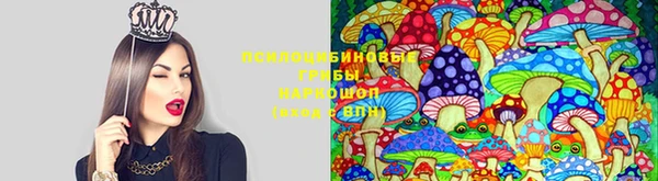 первитин Армянск