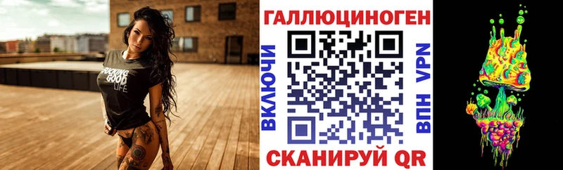 Псилоцибиновые грибы Psilocybe  Купить  Миньяр 